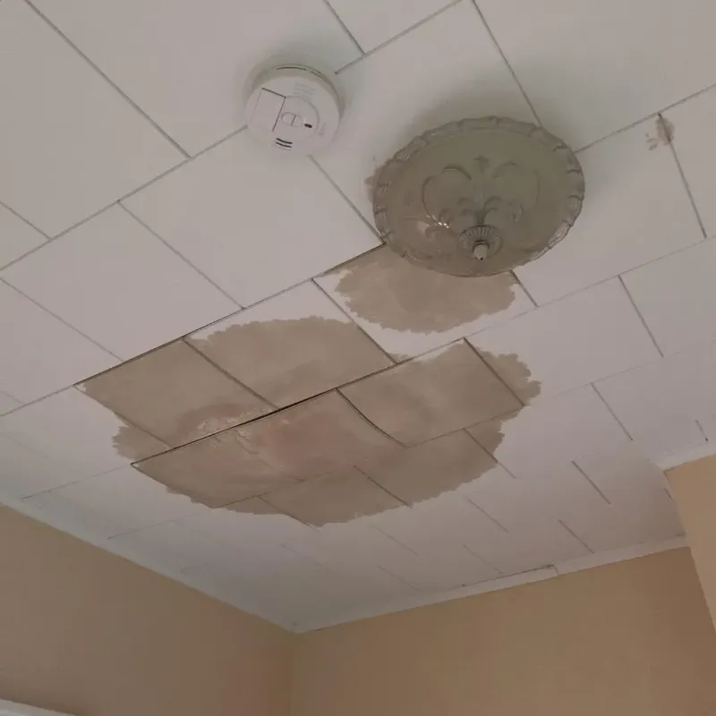 Ceiling Water Damage Repair in Colebrook, NH