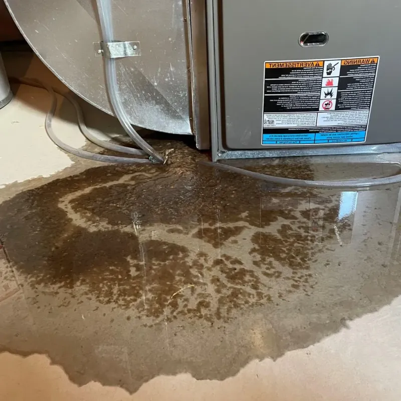 Pipe Burst and Leak Restoration in Colebrook, NH