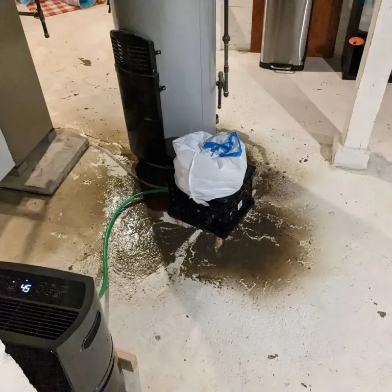 Sewage Backup Cleanup Service in Colebrook, NH